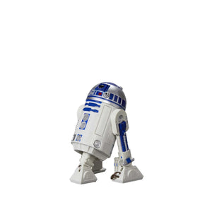 Star Wars The Black Series 6-Inch R2-D2 Action Figure Maple and Mangoes