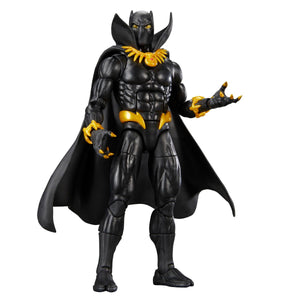 Marvel Legends Series Black Panther 6-Inch Action Figure Maple and Mangoes