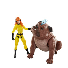 Load image into Gallery viewer, Inhumans Marvel Legends Series Crystal and Lockjaw Deluxe 6-Inch Action Figures Maple and Mangoes
