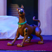 Load image into Gallery viewer, Scooby-Doo! Wave 2 Scooby-Doo 1:12 Scale Action Figure Maple and Mangoes
