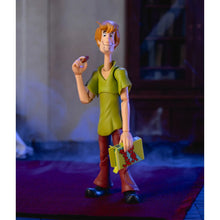 Load image into Gallery viewer, Scooby-Doo! Wave 1 Shaggy 1:12 Scale Action Figure Maple and Mangoes
