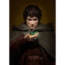 Load image into Gallery viewer, Lord of the Rings: Fellowship of the Ring Frodo Baggins and Gollum S.H.Figuarts Action Figure 2-Pack Maple and Mangoes
