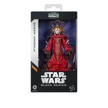 Load image into Gallery viewer, 
Star Wars Black Series Queen Amidala 6-Inch Action Figure Maple and Mangoes

