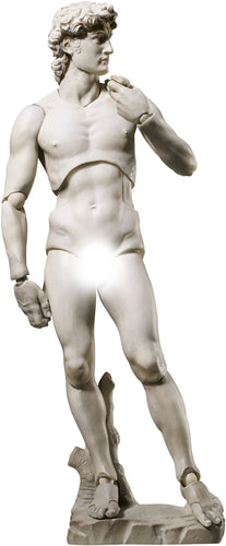 figma David (Michelangelo) (Reissue) Maple and Mangoes
