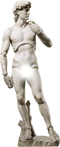 figma David (Michelangelo) (Reissue) Maple and Mangoes