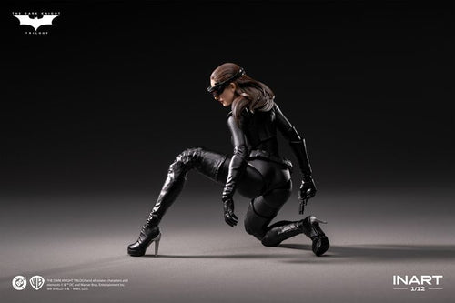 INART – Catwoman (The Dark Knight Rises) 1/12 Action Figure Maple and Mangoes