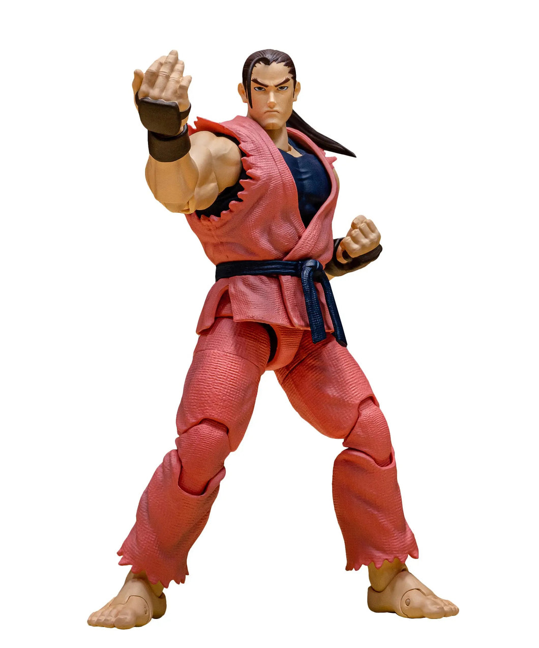 Storm Arena Street Fighter ZERO3 Dan Maple and Mangoes