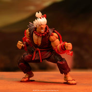 Street Fighter II: Akuma 1/12 - Deluxe Player 2 Ver. [Jada Toys] Maple and Mangoes