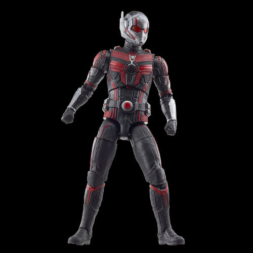Ant-Man & the Wasp: Quantumania Marvel Legends Ant-Man 6-Inch Action Figure Maple and Mangoes