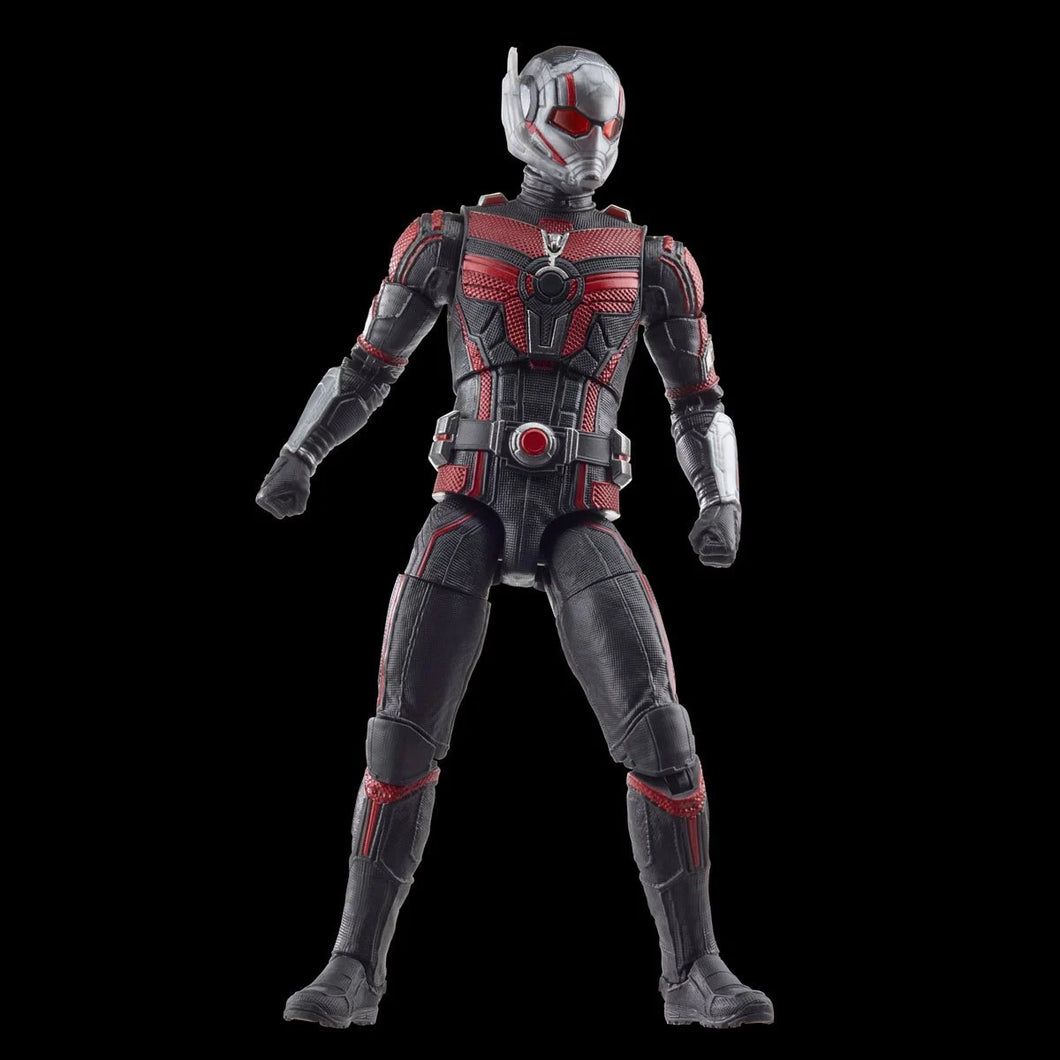 Ant Man the Wasp Quantumania Marvel Legends Ant Man 6 Inch