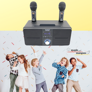 Family KTV Portable Karaoke Bluetooth Speaker with 2 Wireless Microphones