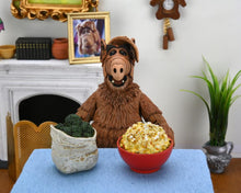 Load image into Gallery viewer, NECA - ALF 7&quot; Scale Figures - Ultimate Alf Maple and Mangoes
