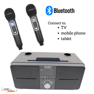 Family KTV Portable Karaoke Bluetooth Speaker with 2 Wireless Microphones