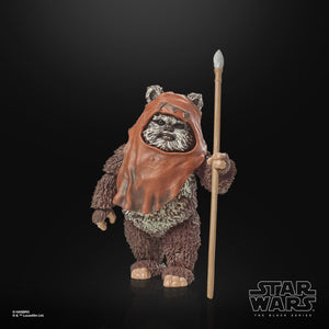 Star Wars The Black Series Return of the Jedi 40th Anniversary 6-Inch Wicket the Ewok Action Figure Maple and Mangoes