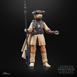 Star Wars The Black Series Archive Princess Leia Organa (Boushh) 6-Inch Action Figure Maple and Mangoes