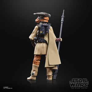 Star Wars The Black Series Archive Princess Leia Organa (Boushh) 6-Inch Action Figure Maple and Mangoes