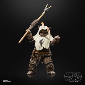 Star Wars The Black Series Return of the Jedi 40th Anniversary 6-Inch Paploo the Ewok Action Figure Maple and Mangoes
