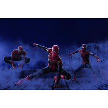 Load image into Gallery viewer, Spider-Man: No Way Home Integrated Suit Final Battle Edition S.H.Figuarts Action Figure Maple and Mangoes
