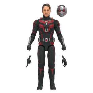 Ant-Man & the Wasp: Quantumania Marvel Legends Ant-Man 6-Inch Action Figure Maple and Mangoes